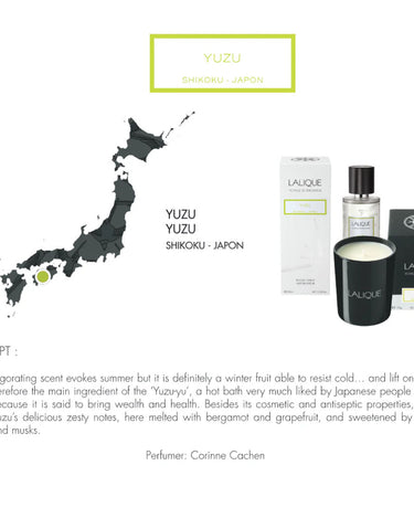 <img alt="Lalique Room Spray Yuzu Shikoku 100ml concept">