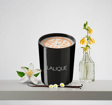 <img alt="Lalique Scented Candle Neroli Casablanca 190g front view">