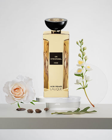 <img alt="Noir Premier Or Intemporel 1888 EDP 100ml front view">