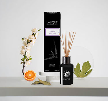 <img alt="Figuier Amalfi Reed Diffuser 250ml front view">