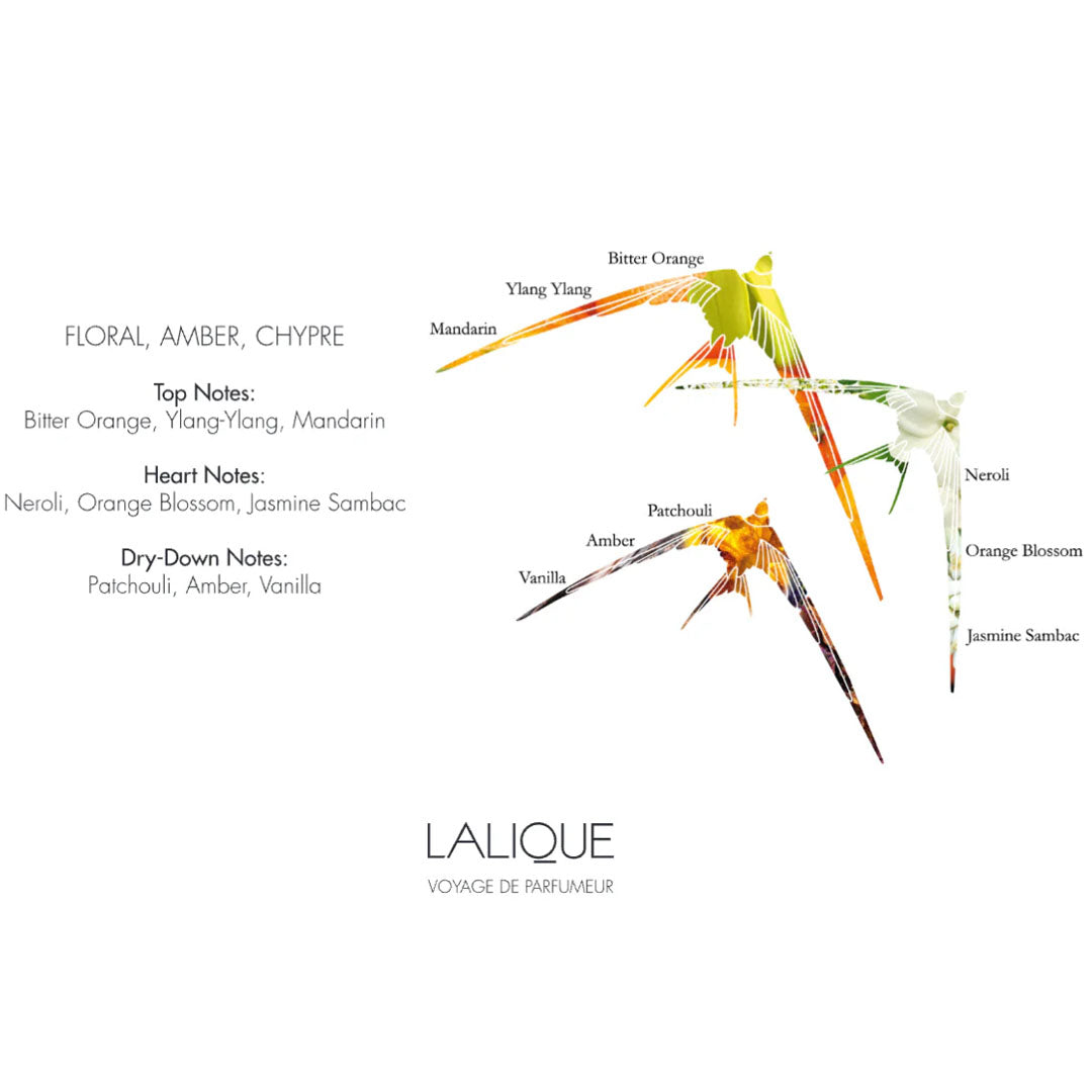 <img alt="Lalique Reed Diffuser Neroli Casablanca 250ml olfactory explained">