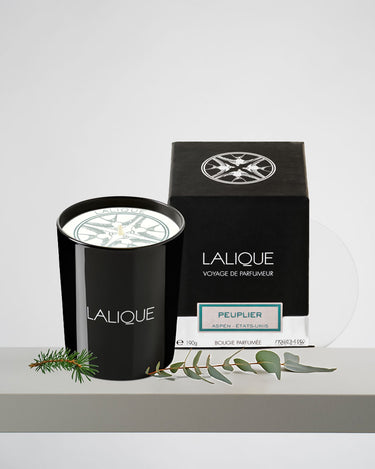 <img alt="Lalique Scented Candle Peuplier Aspen 190g with box">