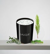 <img alt="Lalique Scented Candle Peuplier Aspen 190g front view">