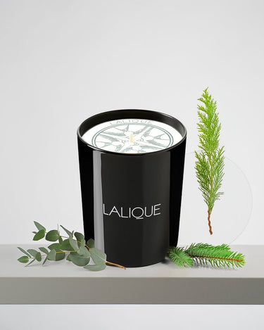 <img alt="Lalique Scented Candle Peuplier Aspen 190g front view">