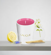 <img alt="Lalique Scented Candle Pink Paradise 190g front view">