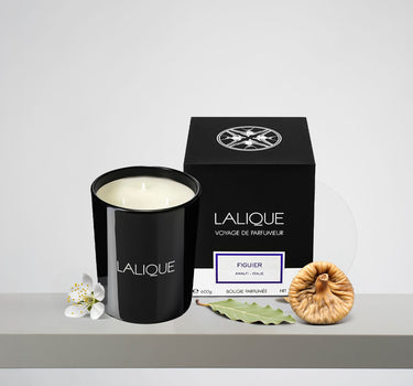 <img alt="Lalique Scented Candle Figuier Amalfi 600g with box">