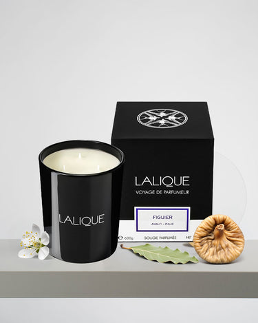 <img alt="Lalique Scented Candle Figuier Amalfi 600g with box">