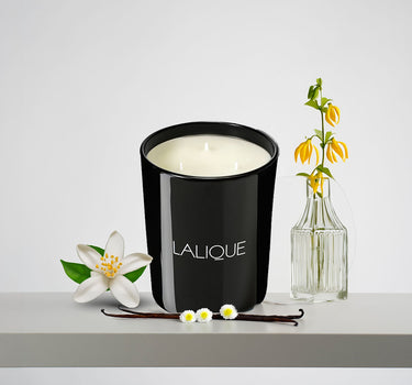 <img alt="Lalique Scented Candle Neroli Casablanca 600g front view">