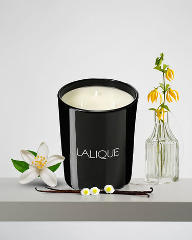 <img alt="Lalique Scented Candle Neroli Casablanca 600g front view">