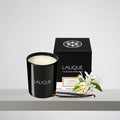 <img alt="Lalique Scented Candle Neroli Casablanca 600g with box">