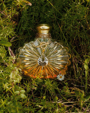 <img alt="Lalique Soleil Vibrant EDP 50ml product shot">