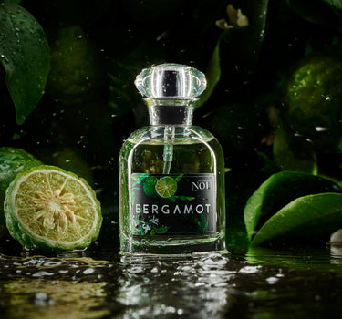 NOU BERGAMOT EAU DE PARFUM 50ML - EASTERN SCENT